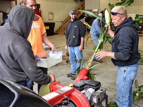 sand springs green distribution box backyard|Chipper Days .